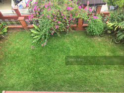Coral Park (D20), Semi-Detached #144807262